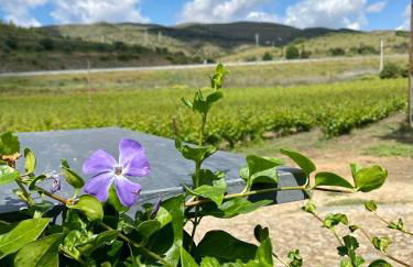 Quinta do Chao D'Ordem - Foto 16