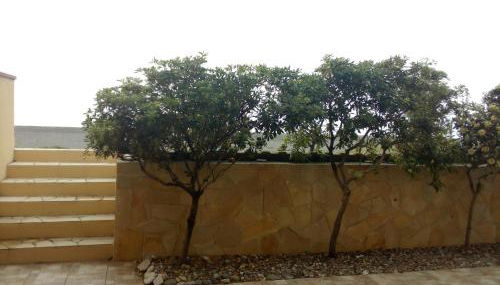 Finestra sul Mare - Foto 5