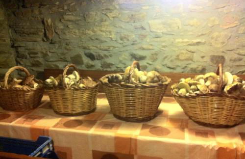 Paller Cal Melsio - Foto 27