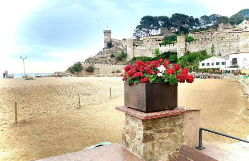 Cala Salions, Amplio Apartamento con visitas al mar Tossa de mar - Foto 32