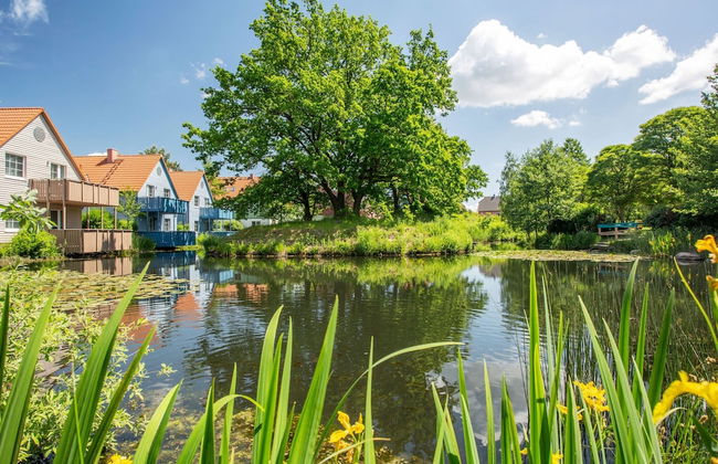 Holiday Complex Beech Resort Fleesensee, Gohren-lebbin - Foto 49