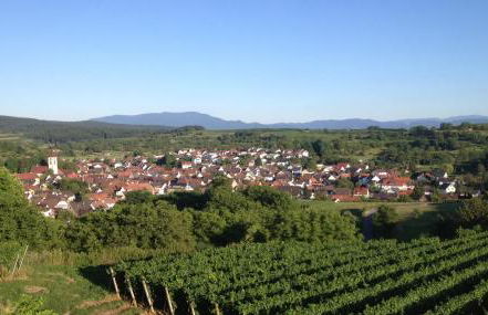 Ferienwohnung Elfriede - WLAN, 2 Bäder, Küche, Freisitz, 2 Parkplätze, im Ortskern - Foto 37