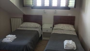 Tenuta Vitale - Azienda agricola multifunzionale - Foto 5