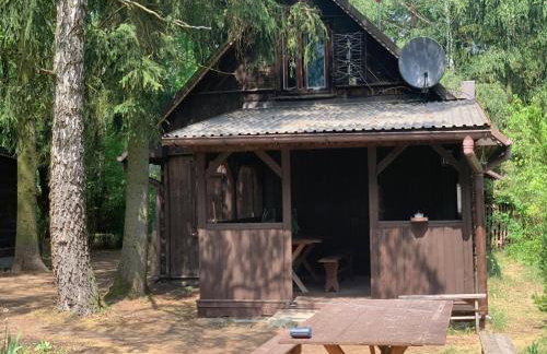 Dom z linią brzegową Narwi 2 - Photo 14