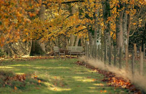 Ballathie House Hotel - Photo 13