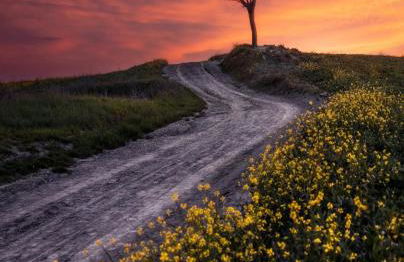 Sweet Home MAMA - Foto 24