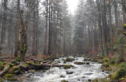 Villa Leika - Panoramablick am Riesengebirge - Foto 30