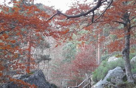 La casa del Alamo - Foto 25