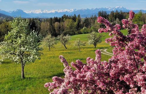 Ferienwohnung Säntisblick - Foto 1