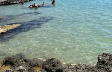 Downtown San Lorenzo - Foto 24