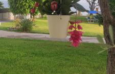 Blu Maronti - Foto 9