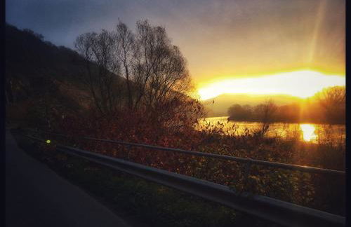 Gemütliches Apartment mit Moselblick - Foto 14