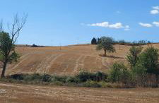 Molino della Tuoma - Foto 72