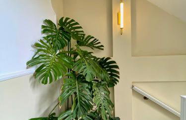 Memories2 elegant house five min from Corfu town - Foto 2