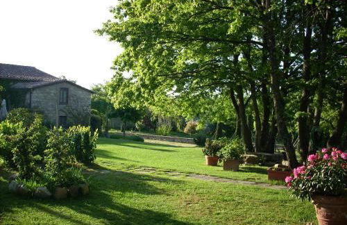 Le querce felici - Foto 2