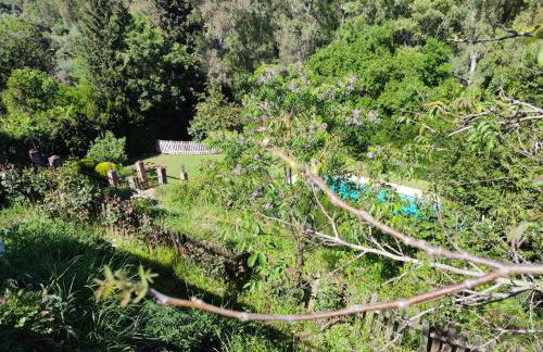 Los Cipreses - Photo 34