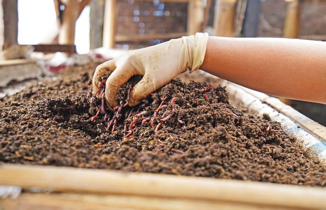 OYO Homes 91006 Eco Tourism Desa Cibodas Areng 5 Syariah - Photo 31