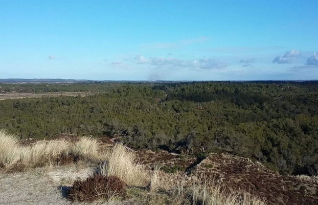 6 Person Holiday Home in Henne-by Traum - Foto 31