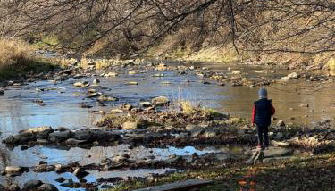 Bieszczady Beztroska Chata - Foto 5
