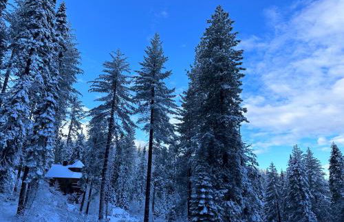 YoBee! Park Reservation Included! Heart of Yosemite - Homey Studios and Breakfast - Foto 57