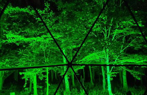 Woodland dome - Foto 19