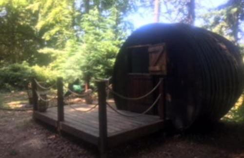 Unique & serene 1-Bed Cabin close to Domfront - Foto 10