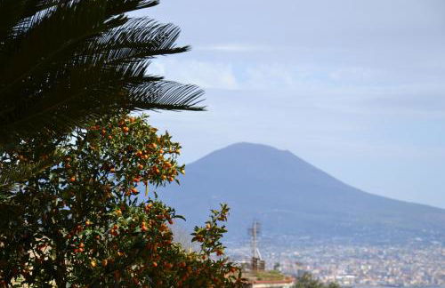 Casa del Cedro - Foto 31