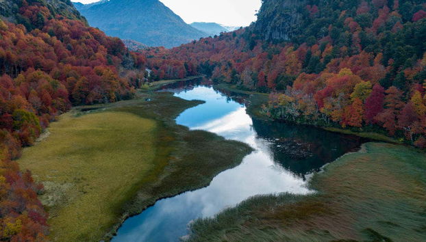 Private Day Trip to Pucon - Foto 2