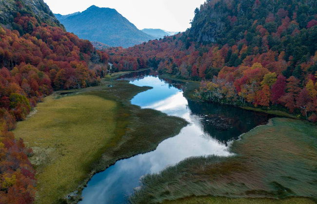 Private Day Trip to Pucon - Foto 2