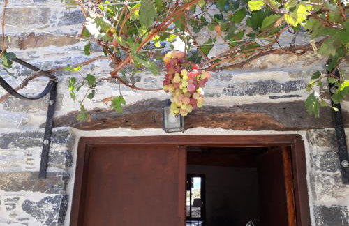 Villa Appetite - Photo 44