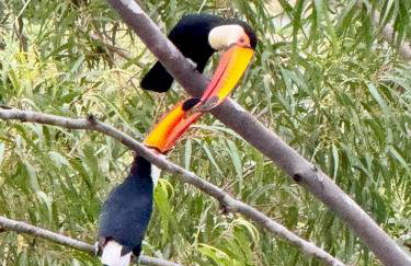 Studio Aquarius - Foto 31