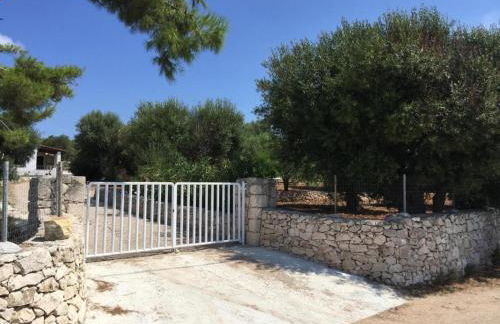 Al Marchello offline - Foto 10