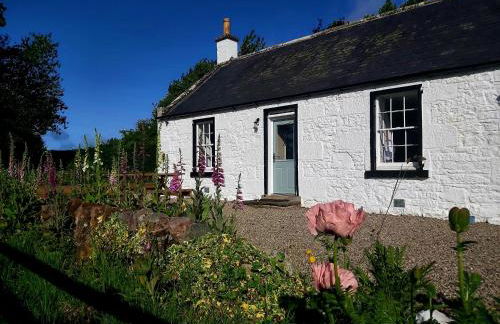 Newtonmill - Tranquillity in Rural Angus - Photo 20