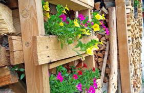 Casa vacanze Heidi e Peter Val di Rabbi - Foto 26