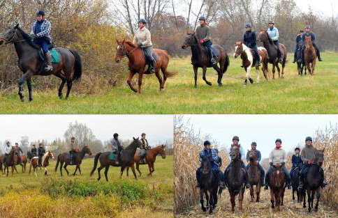 Dwor Trzesniow - Foto 6