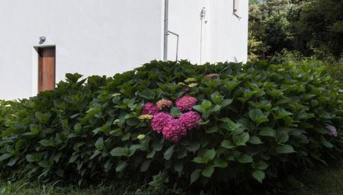 Aegean's Whispery Seafront Villa - Foto 5, Garden