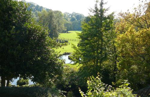 Tucking Mill View- Self Catering - Photo 46