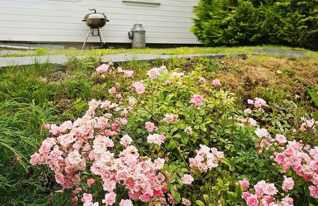 Holiday Home in Austrheim - Foto 41