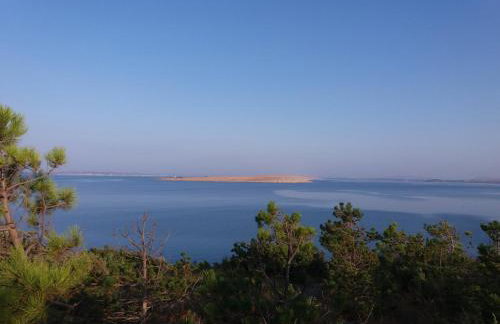 DIKKA apartment Vrsi - Mulo Zadar - Foto 24