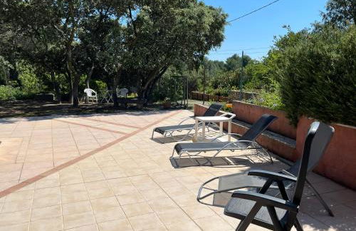 La Pujauline - Photo 19