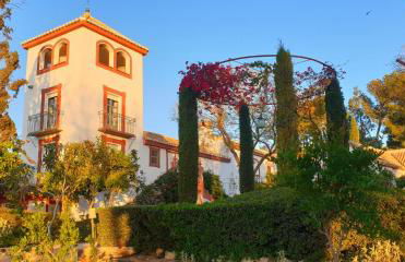 Cortijo El Triguero N-398 Ctra Carmona – El Viso del Alcor Km 18 - Foto 35