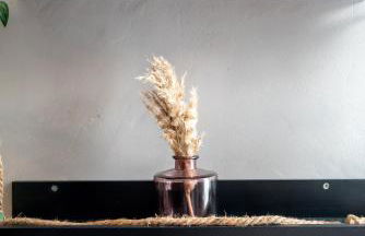 Grand T2 à 8mn de Lille et Stadium Terrasse et parking privé - Foto 25