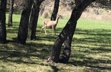 Perfect Country-Side Get-Away - Photo 14