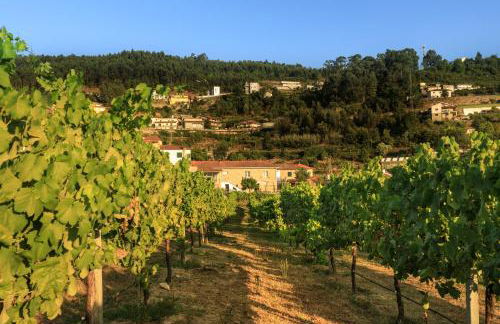 Casa do Vitó - Photo 30