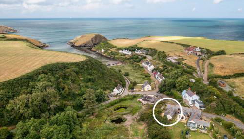 Ffesant - Photo 1, Other