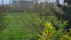 Stromboli Apartment - Foto 4