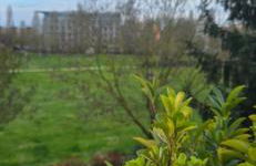 Stromboli Apartment - Foto 4