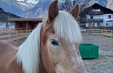 Schöne Wohnung am Stadtrand von Meran Valentinhof - Foto 22