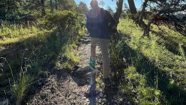 Forêt de La Chorrera