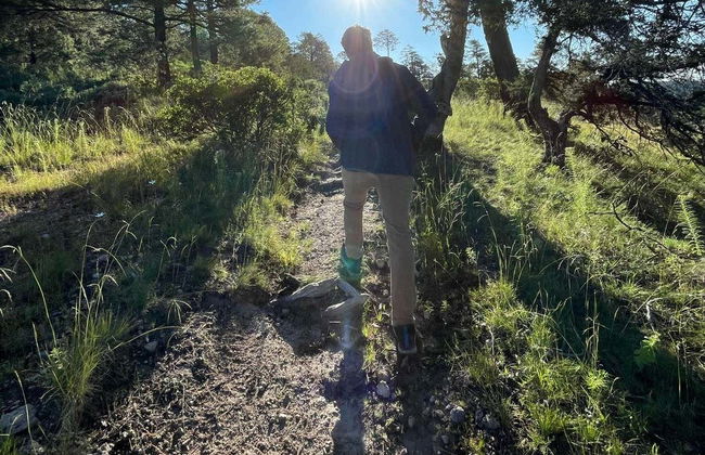 Randonnée dans la forêt de La Chorrera - Photo 2
